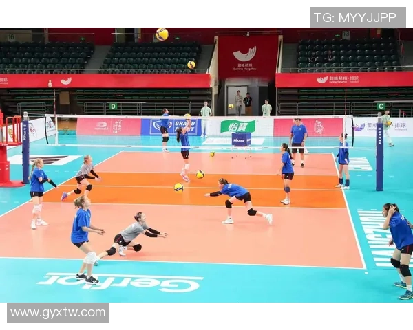 杭州排球队配合技巧深度解析与对比分析